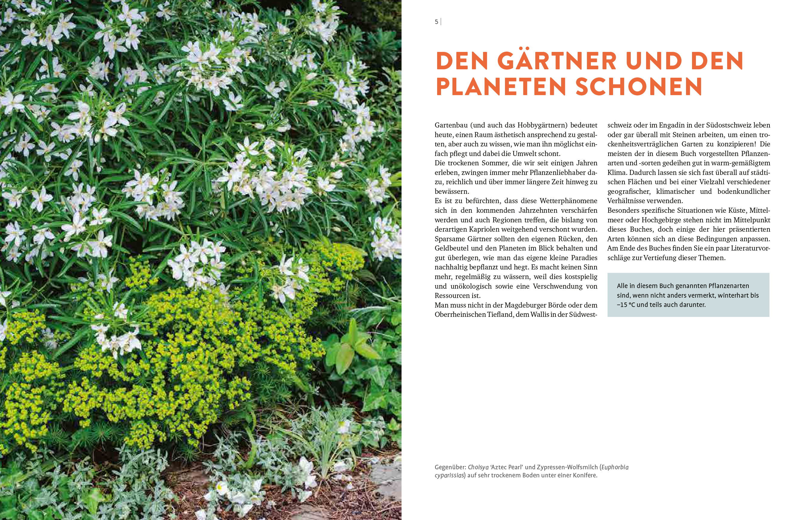 9783818613594_innenansicht_01.jpg