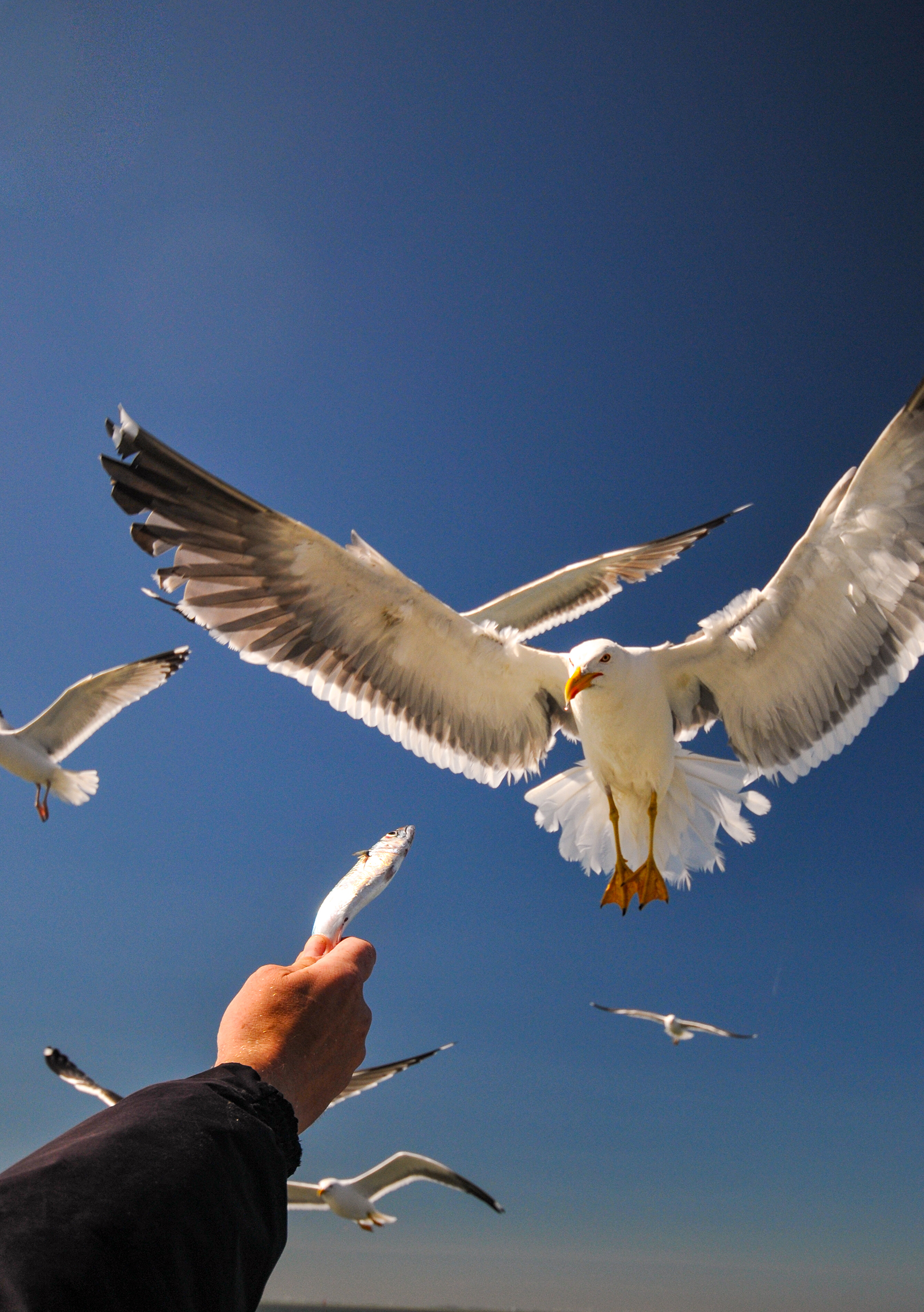 9783734331732_innenansicht_03 9783734331732_innenansicht_03.jpg