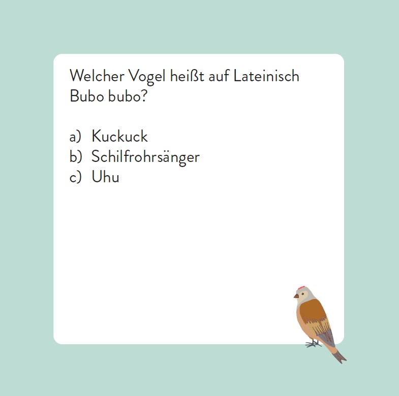9783747206768_innenansicht_05.jpg