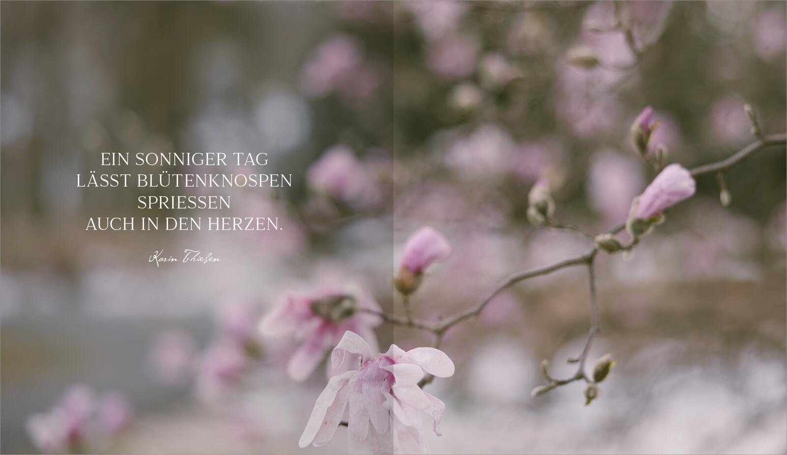 9783845862996_innenansicht_01 9783845862996_innenansicht_01.jpg