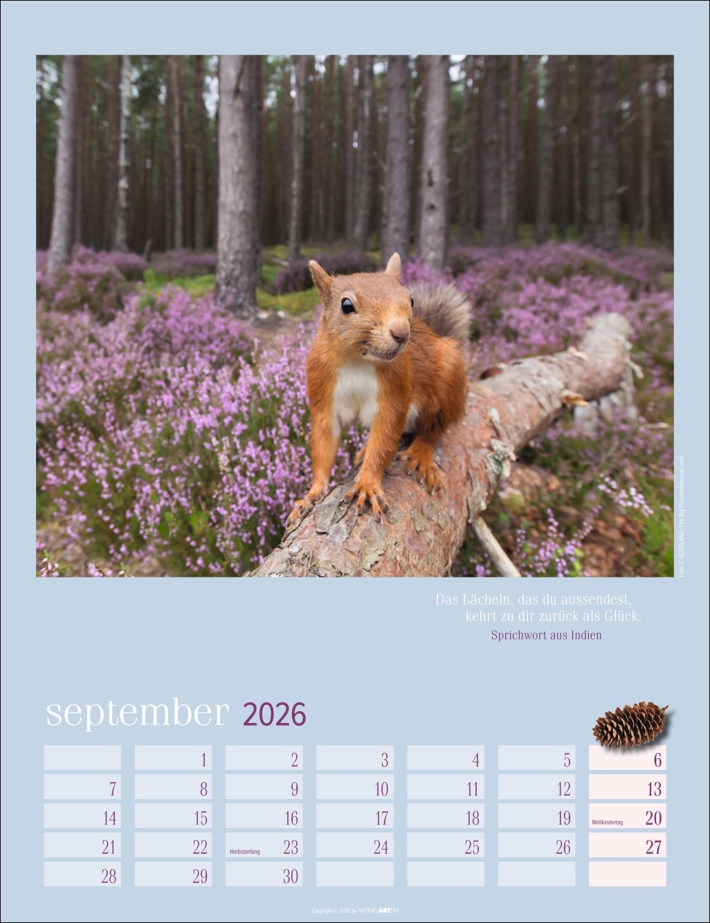 9783839902332_innenansicht_09 9783839902332_innenansicht_09.jpg