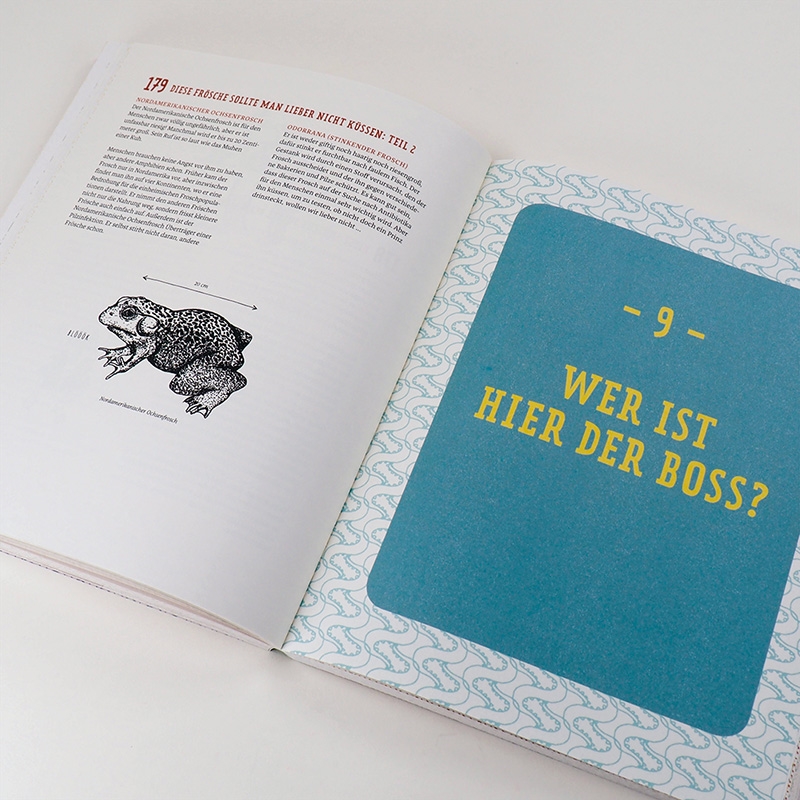 9783446264366_innenansicht_04.jpg