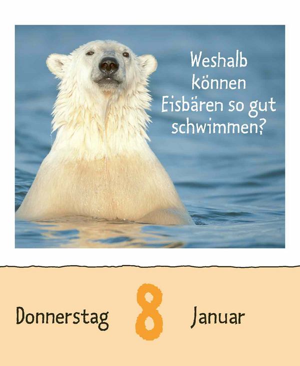 9783731889199_innenansicht_01.jpg