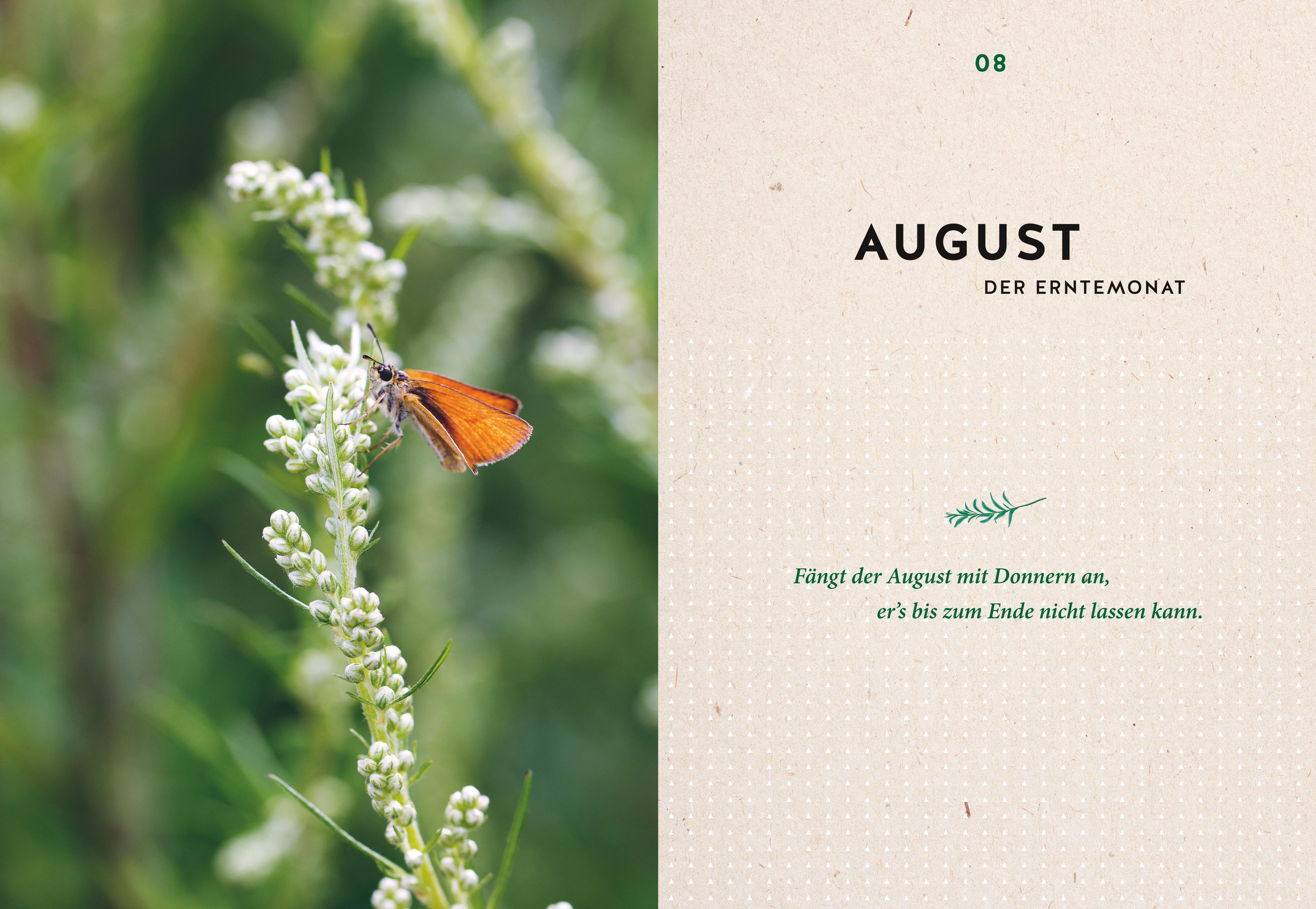 9783833880544_innenansicht_03 9783833880544_innenansicht_03.jpg