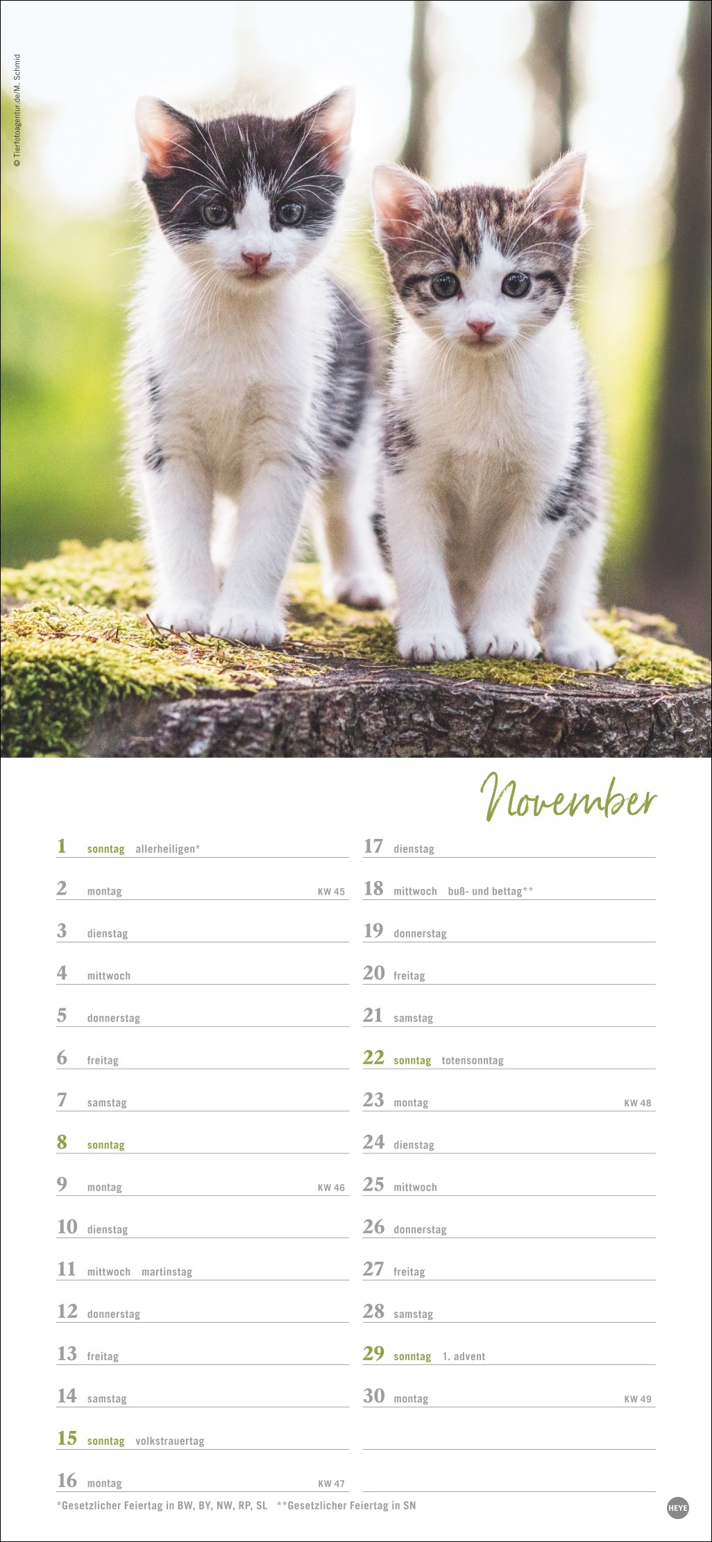 9783756409778_innenansicht_11 9783756409778_innenansicht_11.jpg