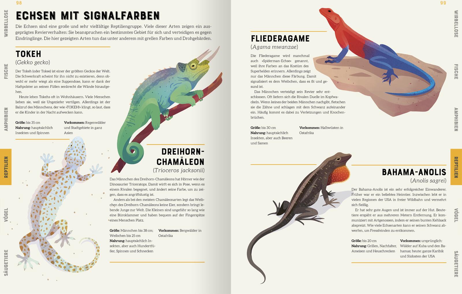 9783845848297_innenansicht_05 9783845848297_innenansicht_05.jpg