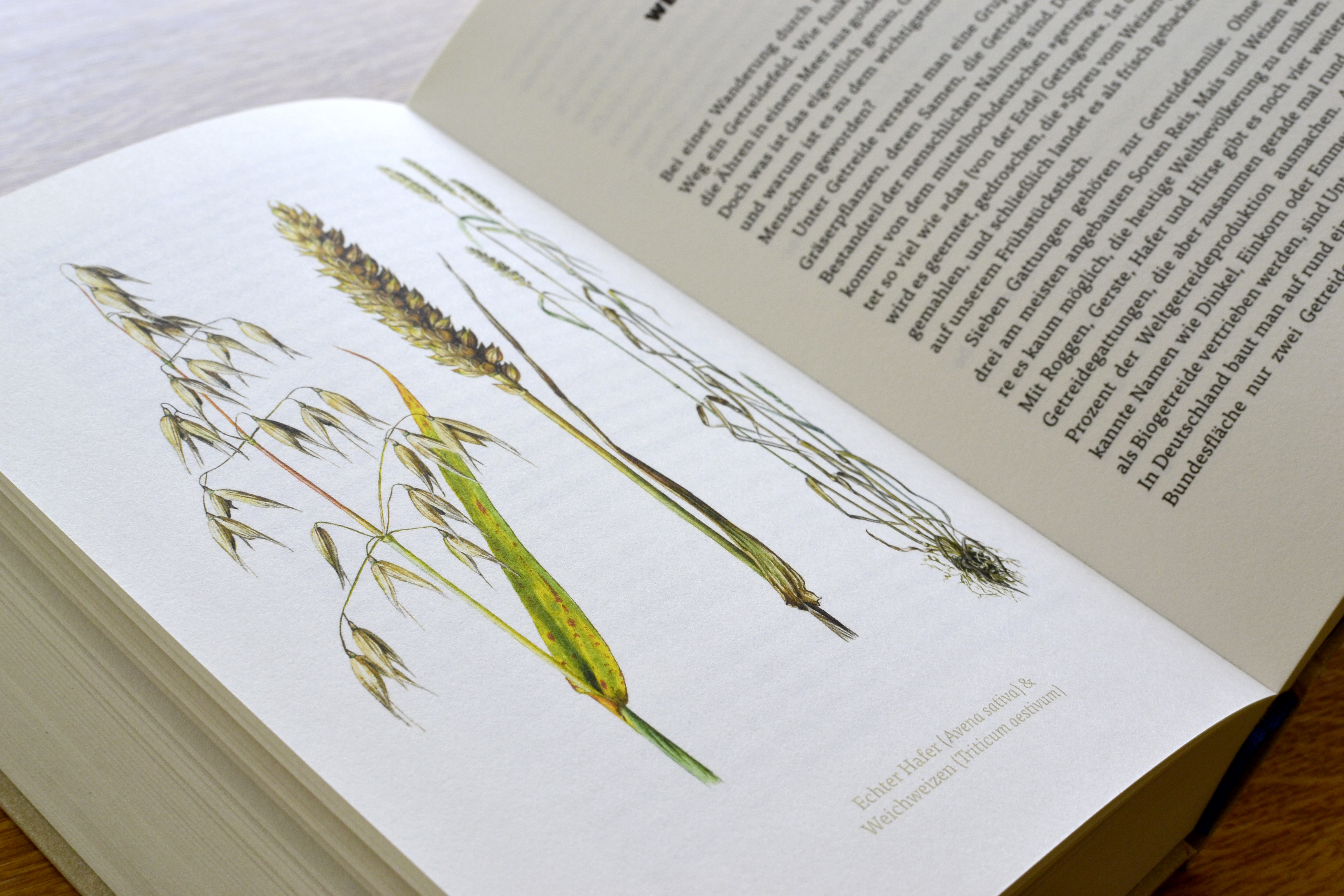 9783847900658_innenansicht_01.jpg 9783847900658_innenansicht_01.jpg