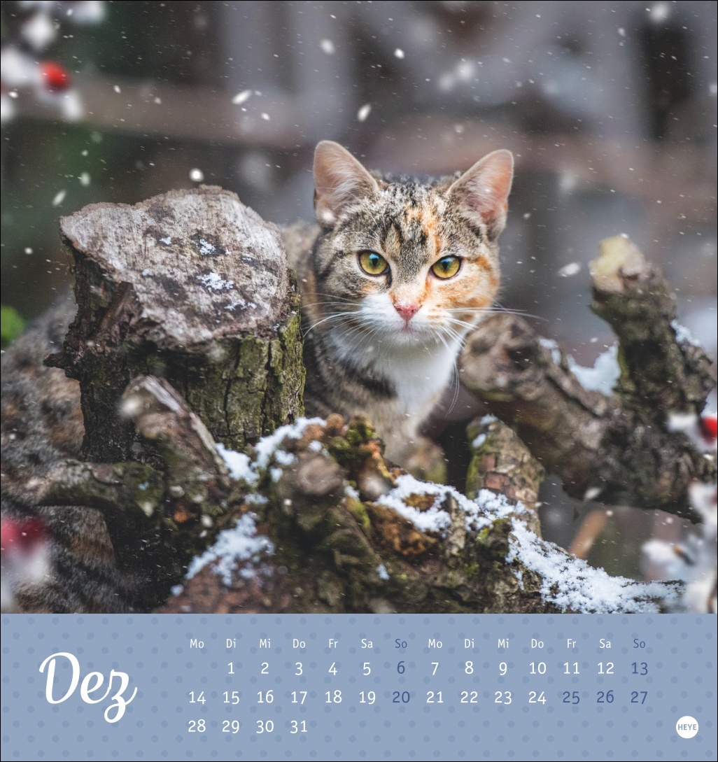 9783756410460_innenansicht_12 9783756410460_innenansicht_12.jpg