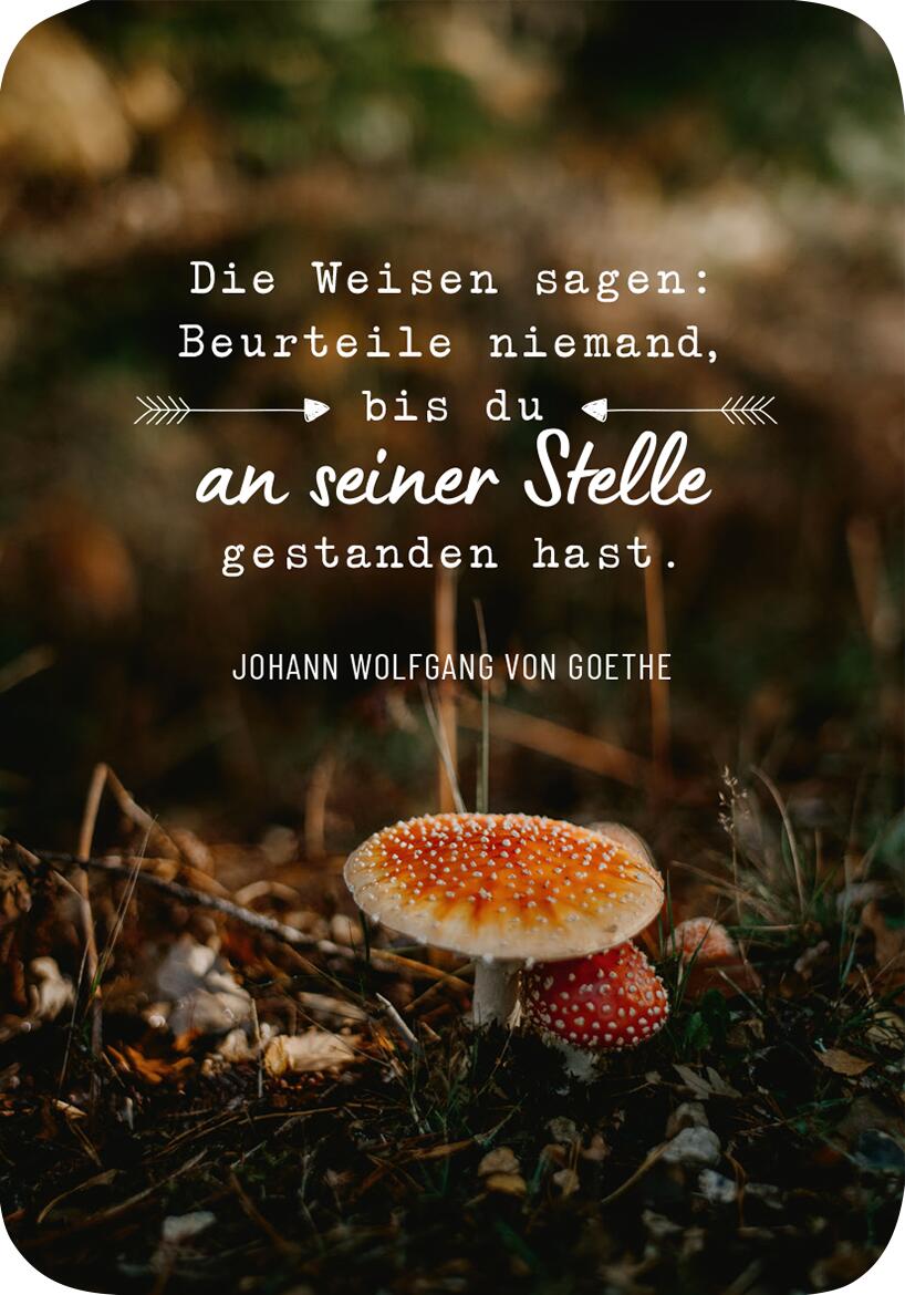 9783845854359_innenansicht_08.jpg