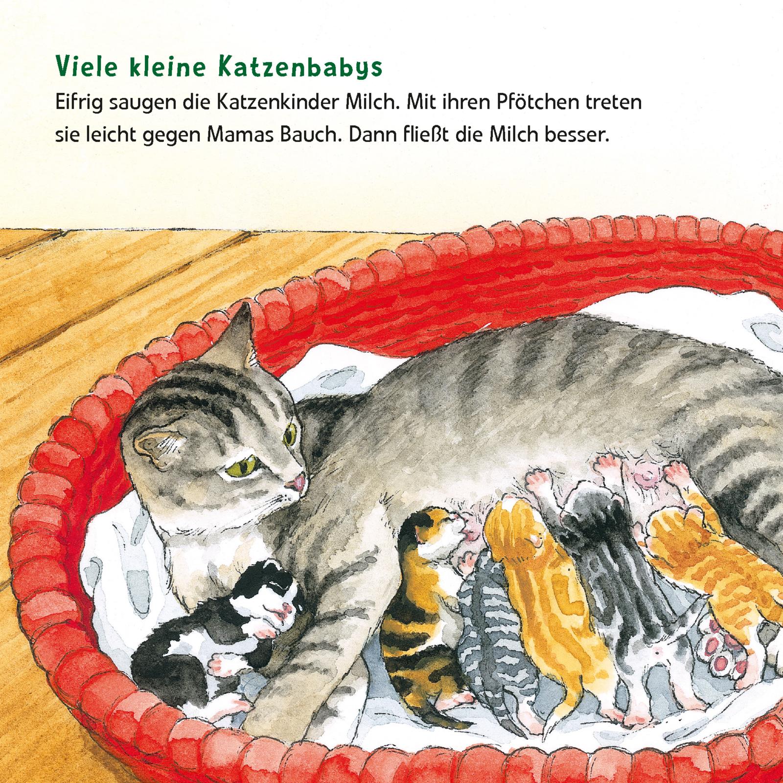 9783551033819_innenansicht_03 9783551033819_innenansicht_03.jpg