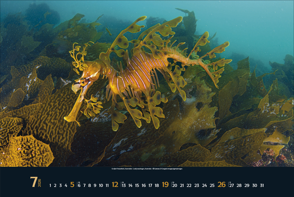 9783731888161_innenansicht_07 9783731888161_innenansicht_07.jpg