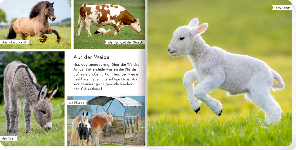 9783649644873_innenansicht_02.jpg