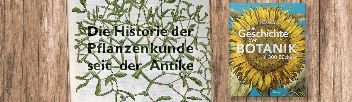 9783258084091_buehnenbild.jpg