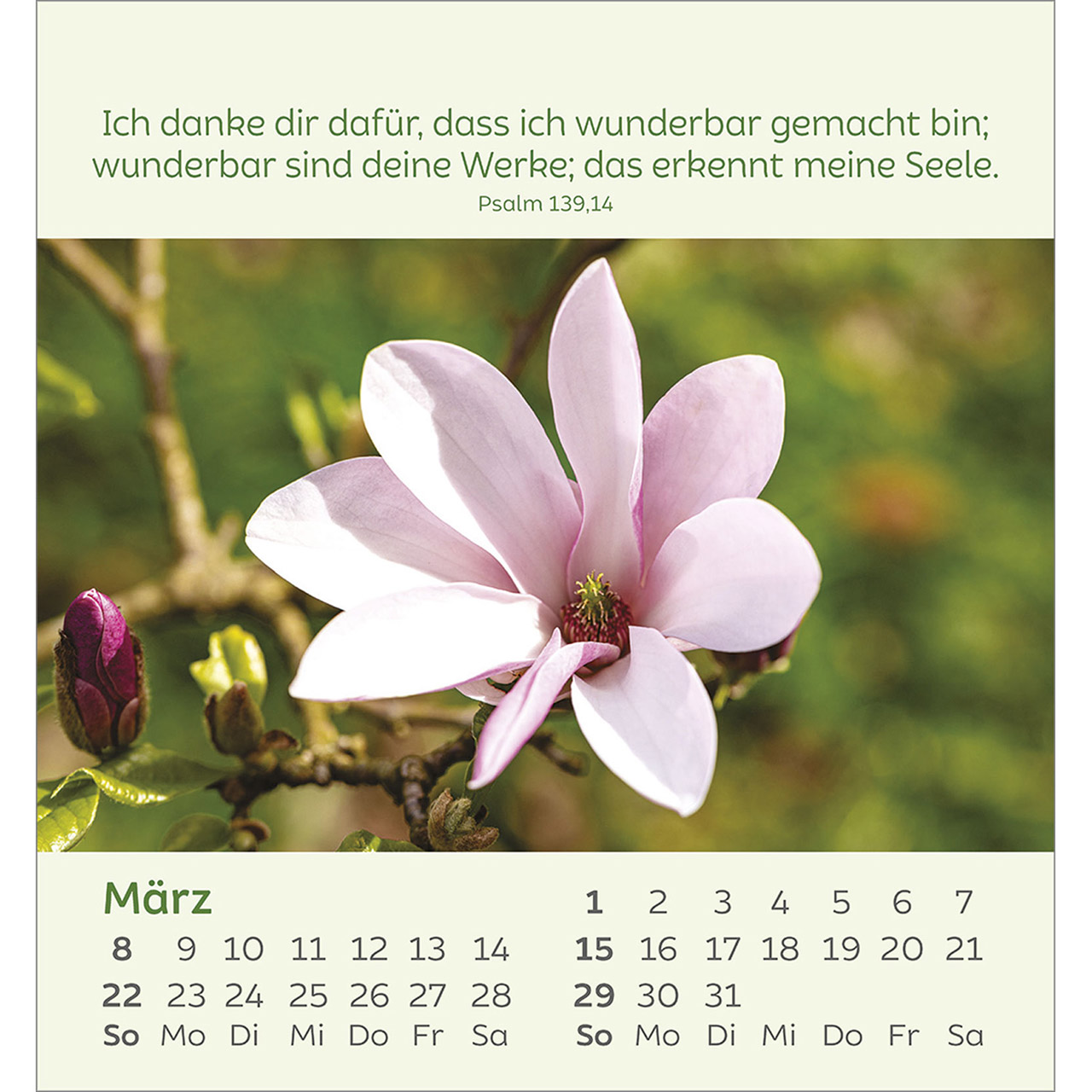 9783754847060_innenansicht_03.jpg