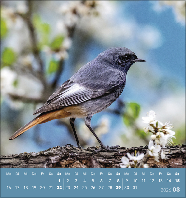 9783731890225_innenansicht_03 9783731890225_innenansicht_03.jpg