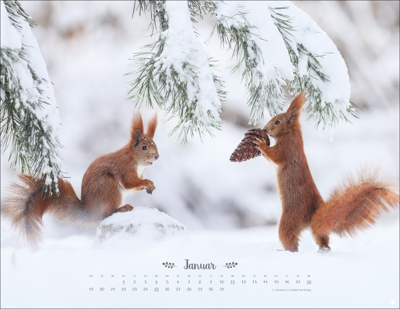 9783756411672_innenansicht_01 9783756411672_innenansicht_01.jpg