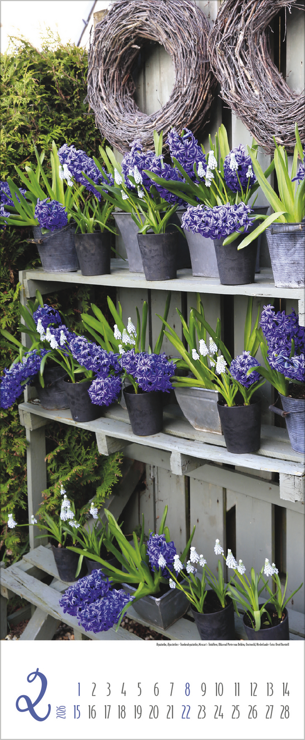 9783731886334_innenansicht_02 9783731886334_innenansicht_02.jpg