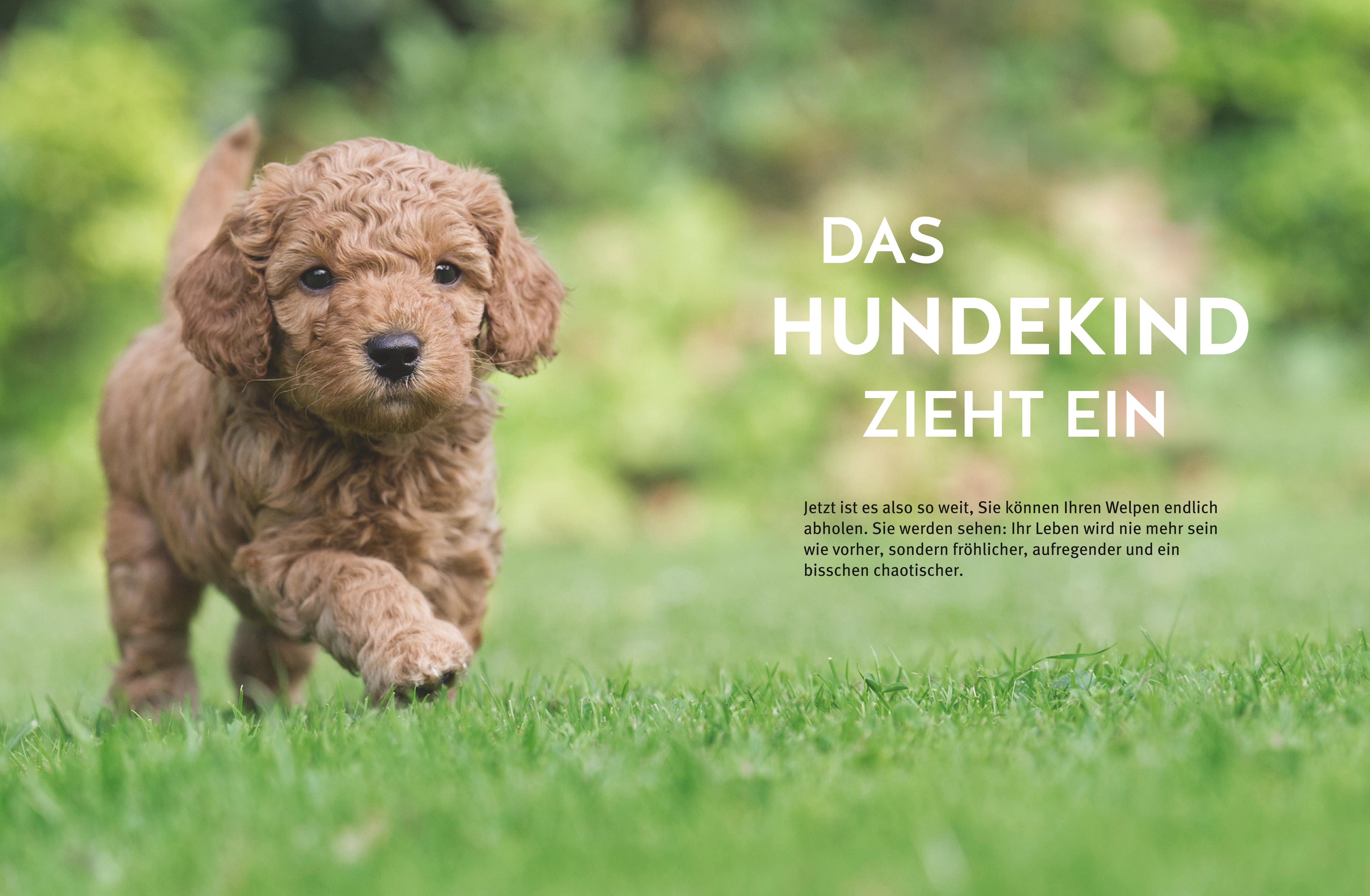 9783833857249_innenansicht_05 9783833857249_innenansicht_05.jpg