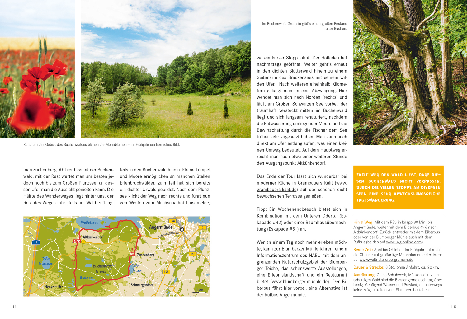 9783770180806_innenansicht_09 9783770180806_innenansicht_09.jpg