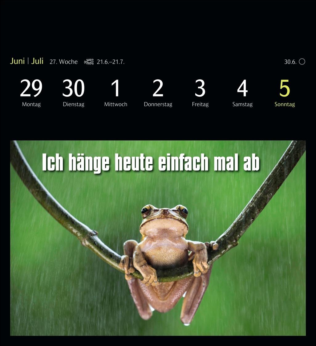 9783840037467_innenansicht_08.jpg