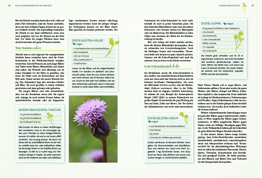 9783818620400_innenansicht_06 9783818620400_innenansicht_06.jpg