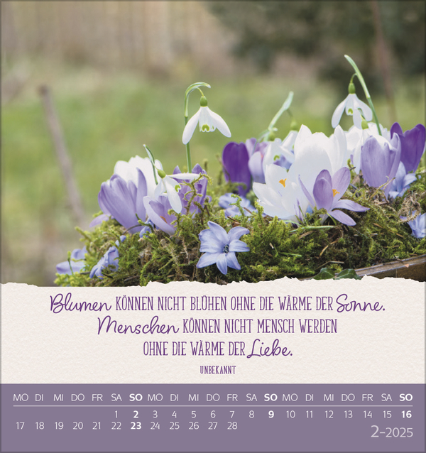 9783731880264_innenansicht_02 9783731880264_innenansicht_02.jpg