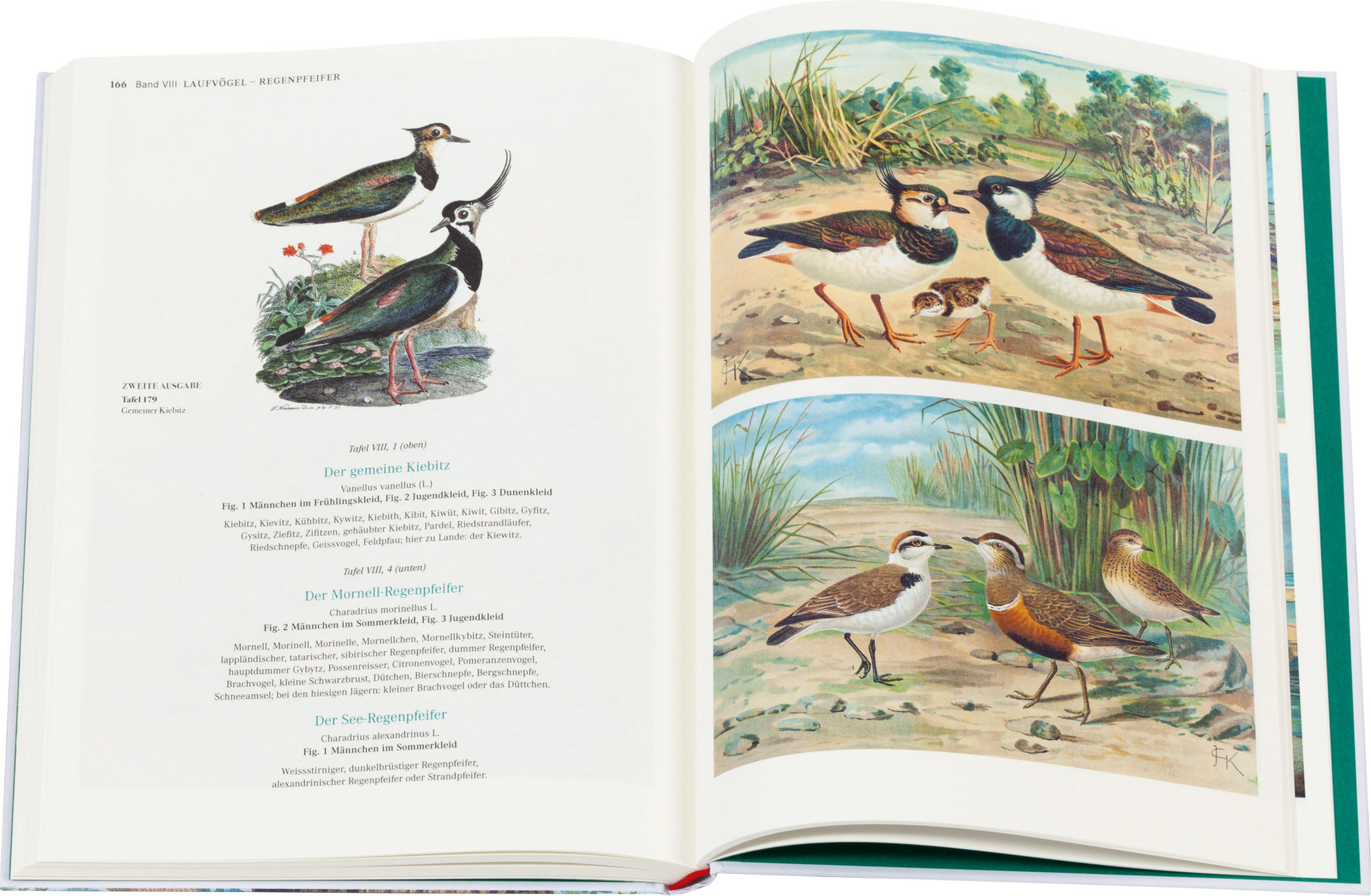 9783968492001_innenansicht_07 9783968492001_innenansicht_07.jpg