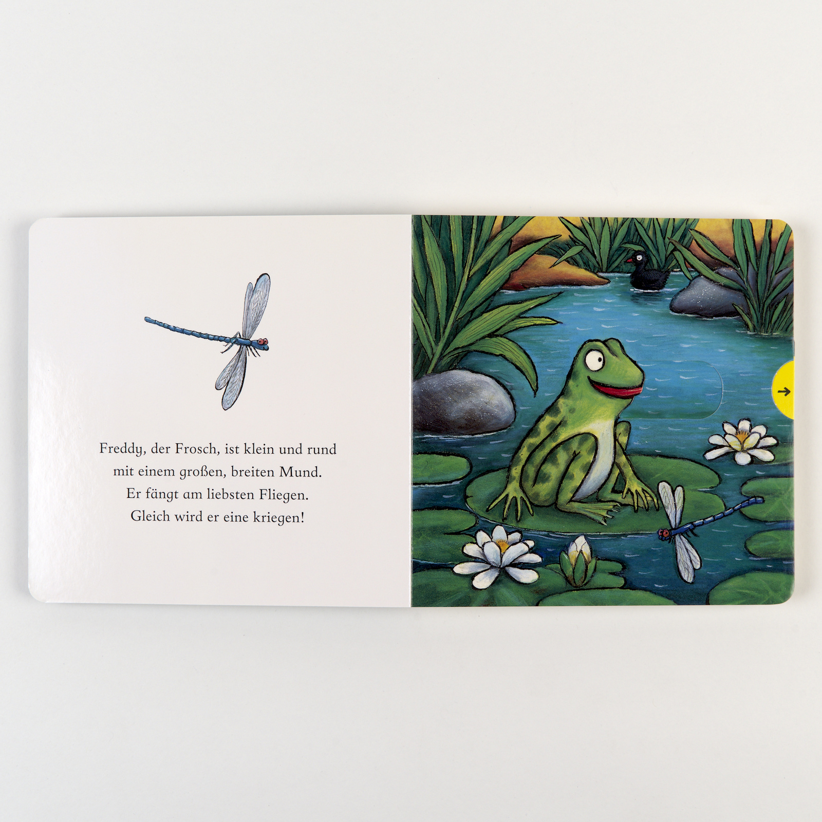 9783407759597_innenansicht_03 9783407759597_innenansicht_03.jpg