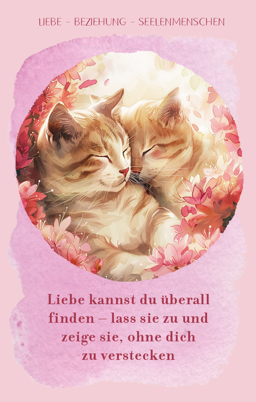 9783990601860_innenansicht_01.jpg