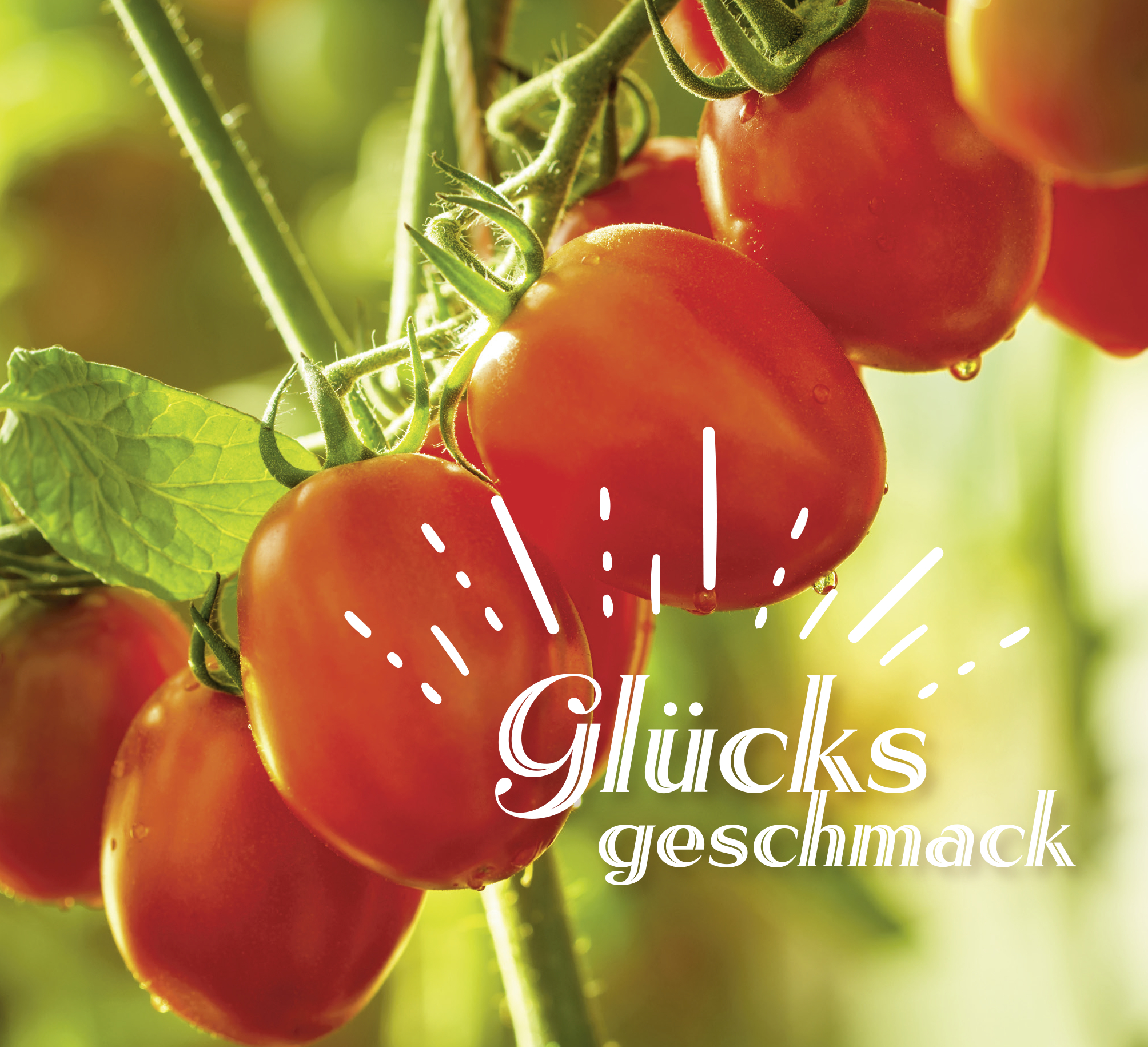 9783848502004_innenansicht_03.jpg