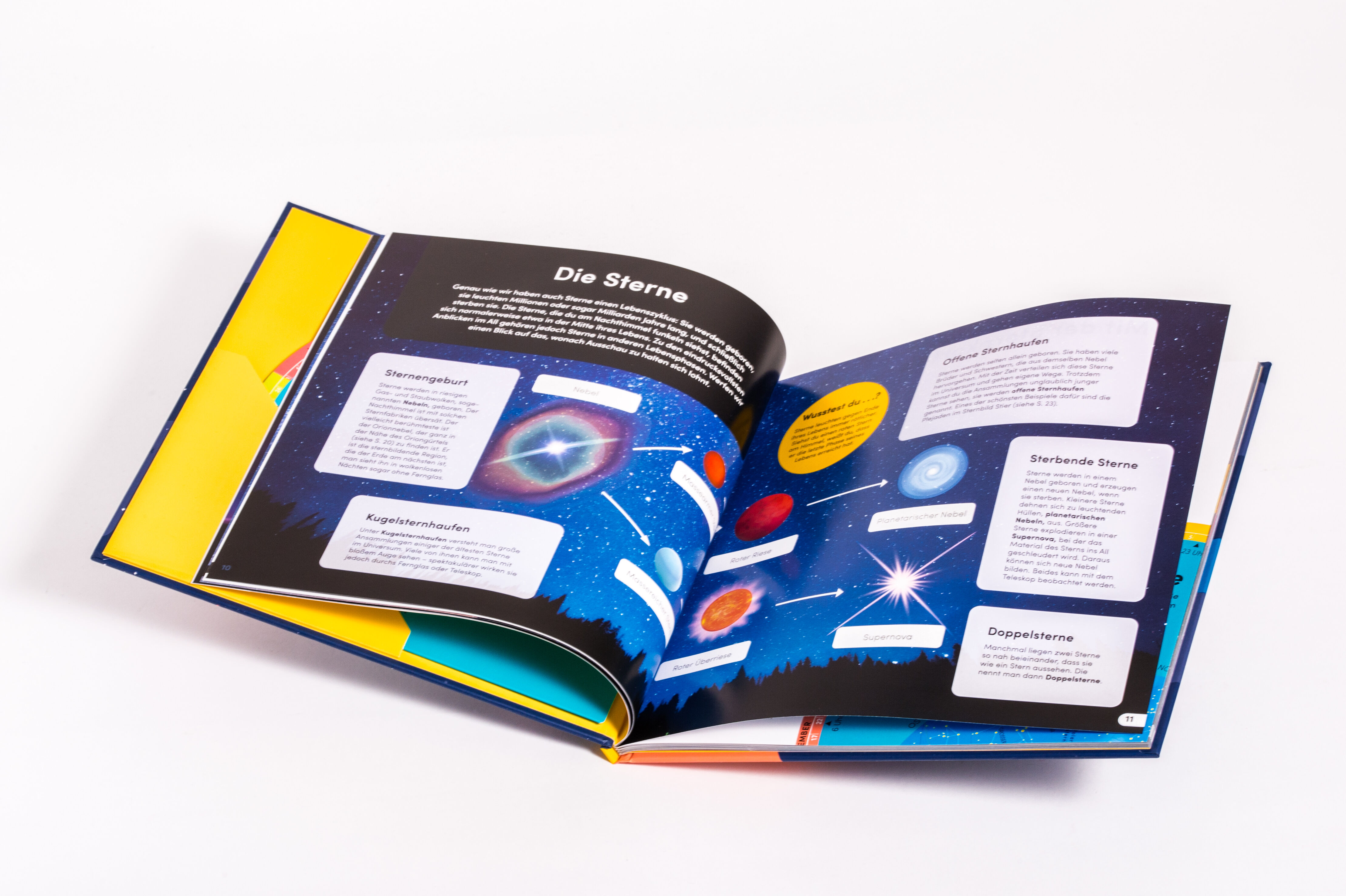 9783809449935_innenansicht_06 9783809449935_innenansicht_06.jpg