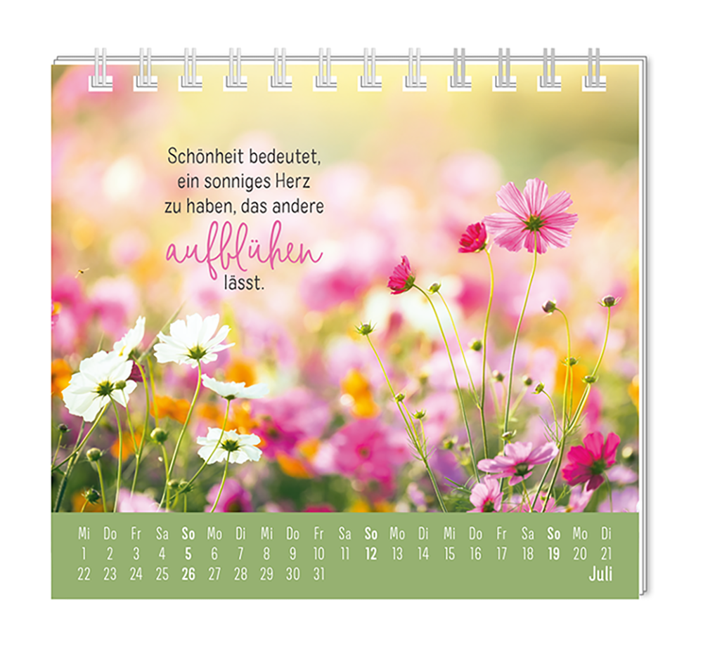 9783986361914_innenansicht_07.png