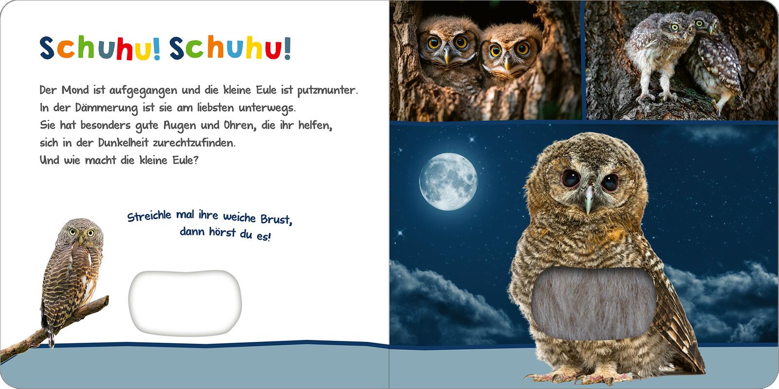 9783845858326_innenansicht_01.jpg