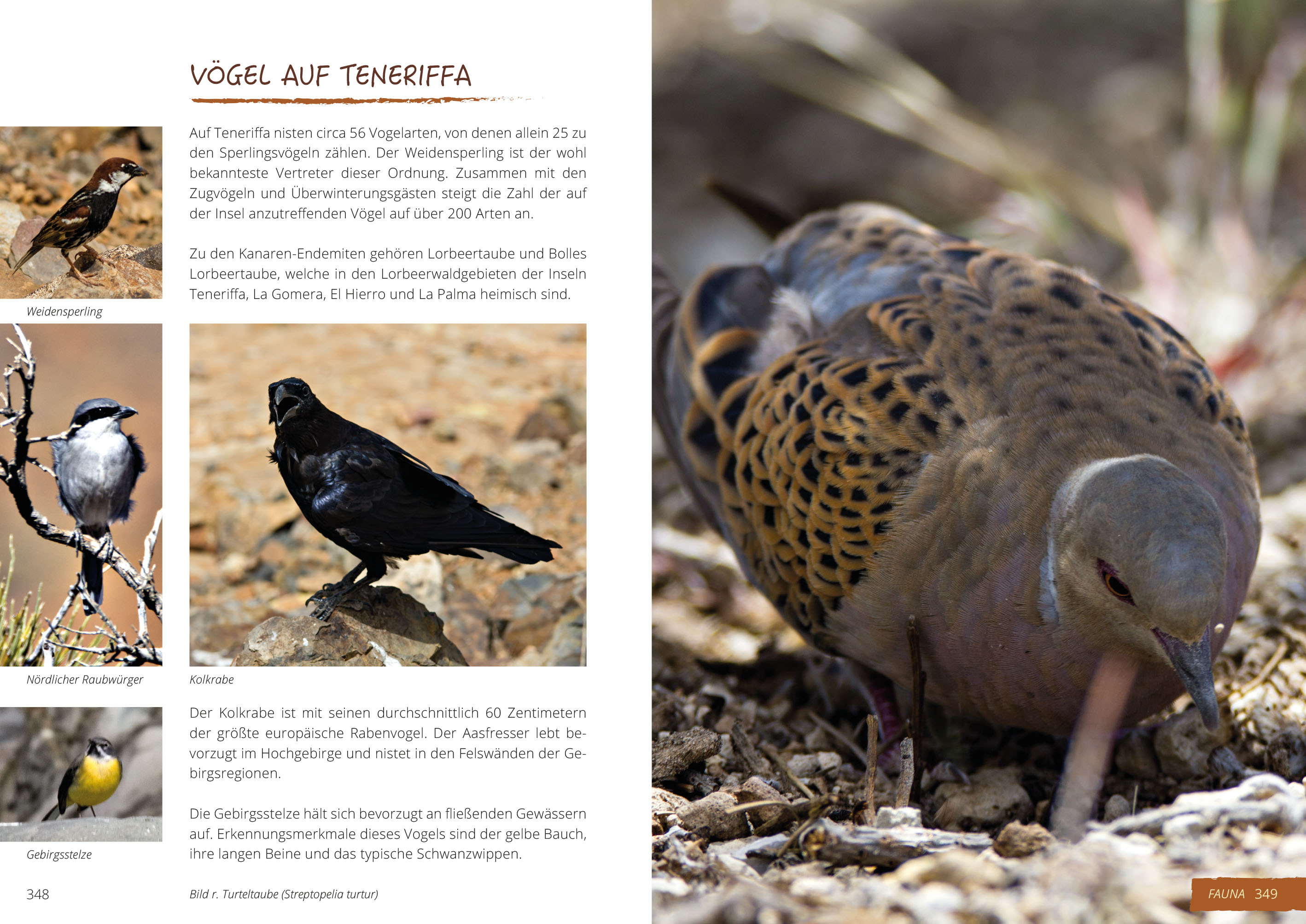 9783946636489_NF_6 9783946636489_NF_6.jpg