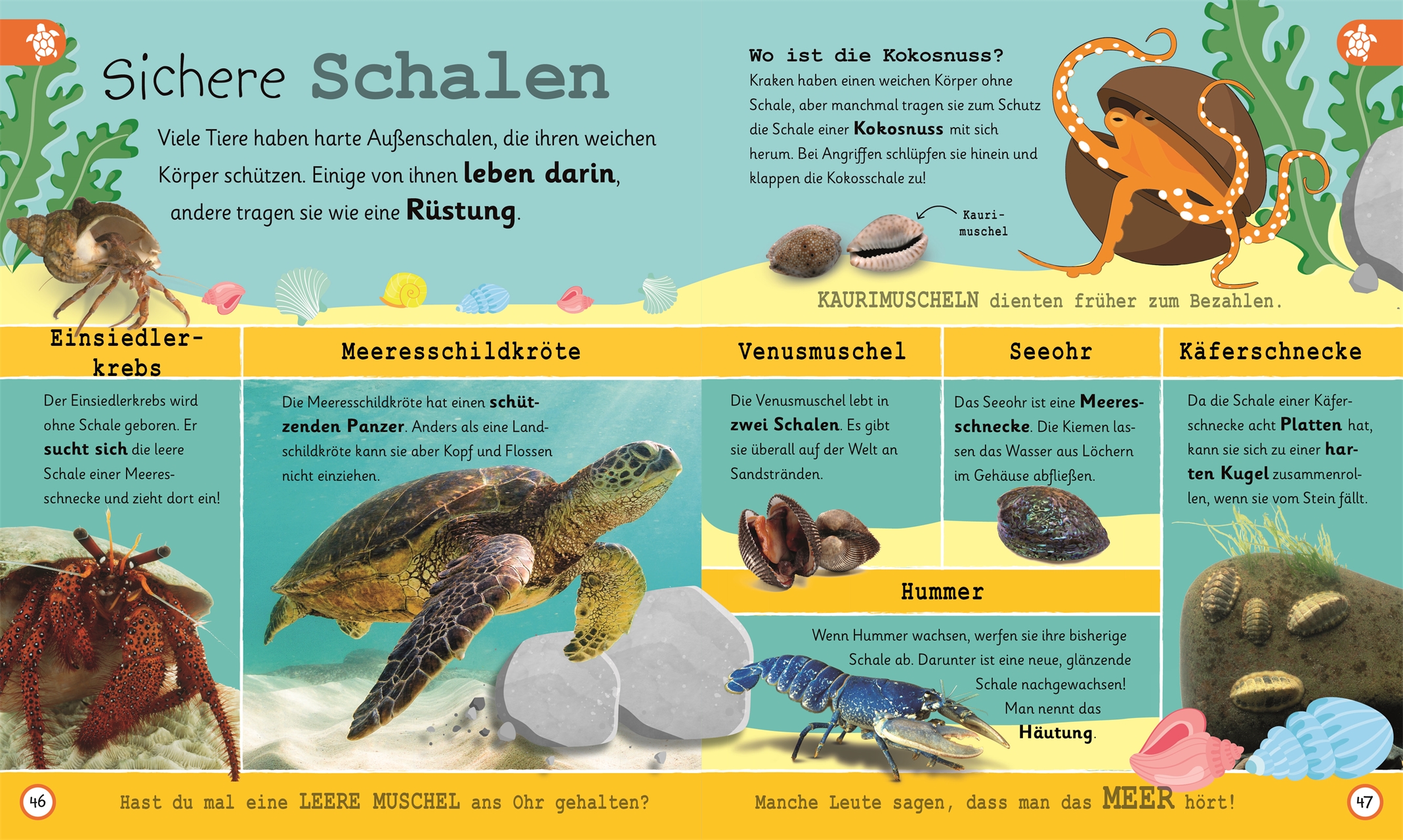 9783831043736_innenansicht_04.jpg