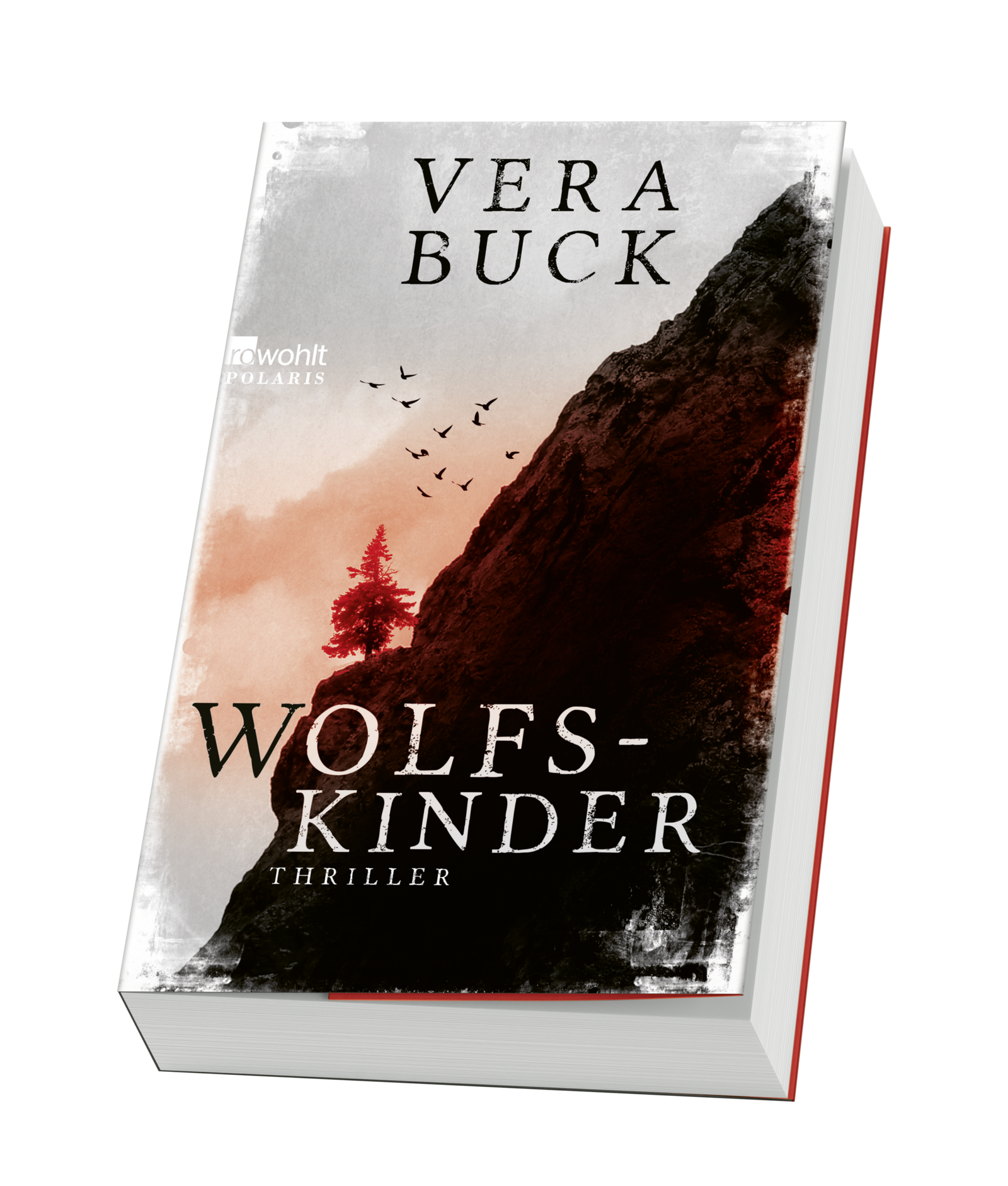 9783499009686_weiterecover_01 9783499009686_weiterecover_01.png