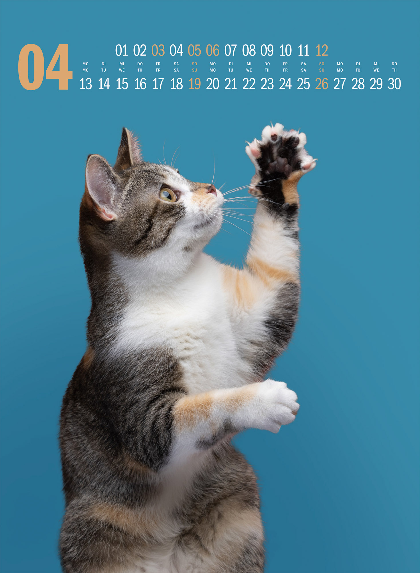 9783838436364_innenansicht_04.jpg