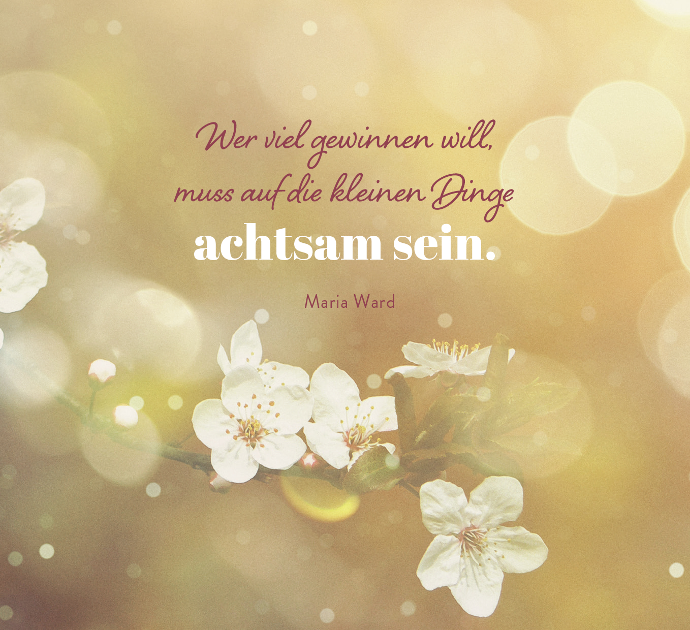 9783848502103_innenansicht_07.jpg