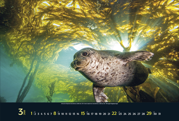 9783731888161_innenansicht_03 9783731888161_innenansicht_03.jpg