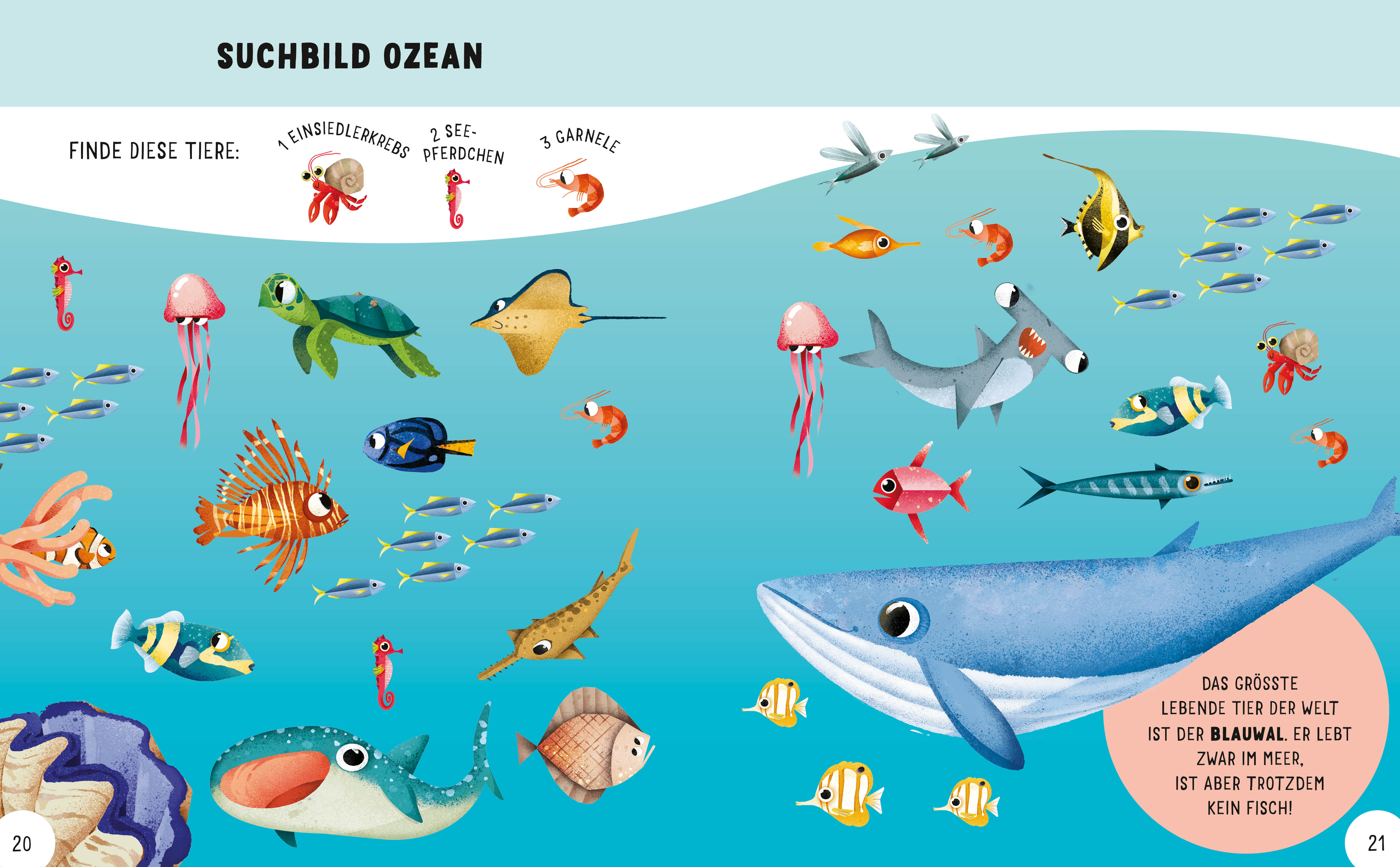 9788863127188_innenansicht_10 9788863127188_innenansicht_10.jpg