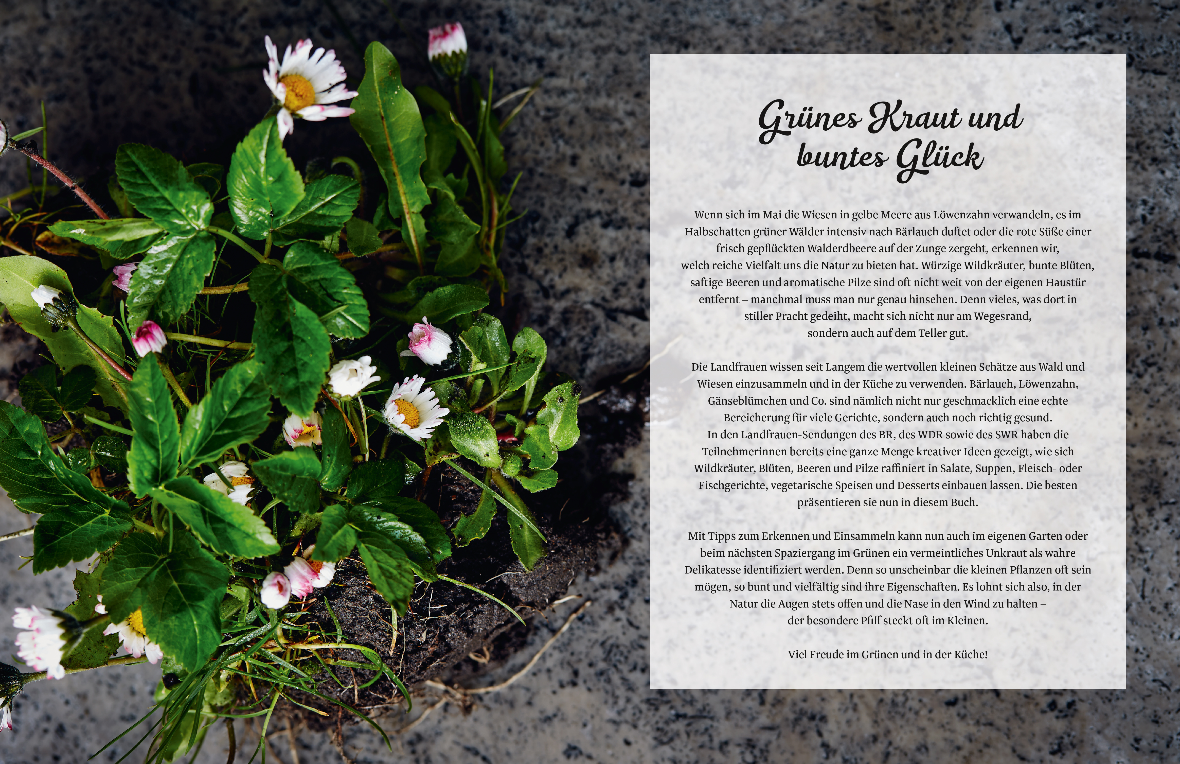 9783965843172_innenansicht_01 9783965843172_innenansicht_01.jpg