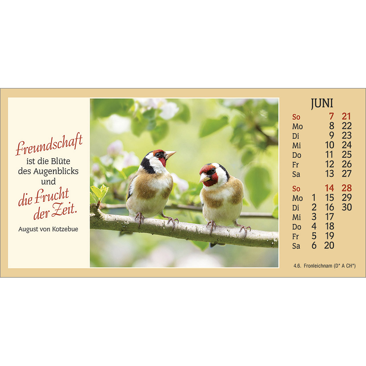 9783754886564_innenansicht_06.jpg