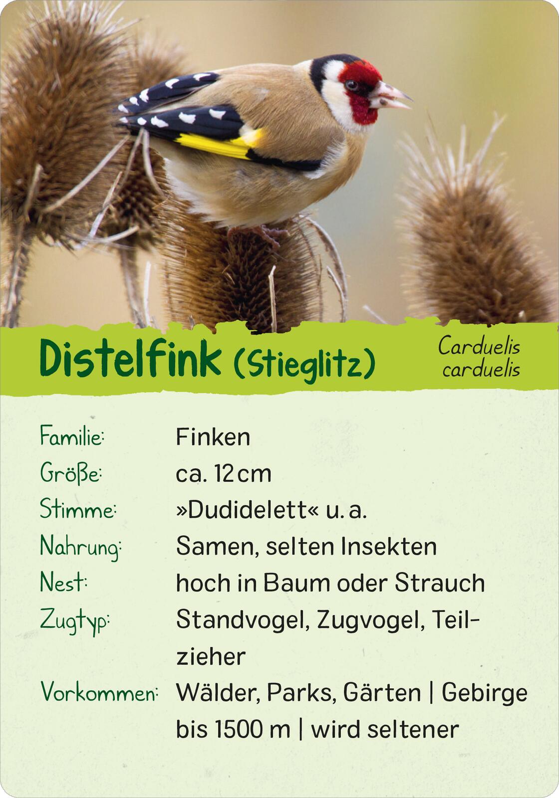 9783845856599_innenansicht_02 9783845856599_innenansicht_02.jpg