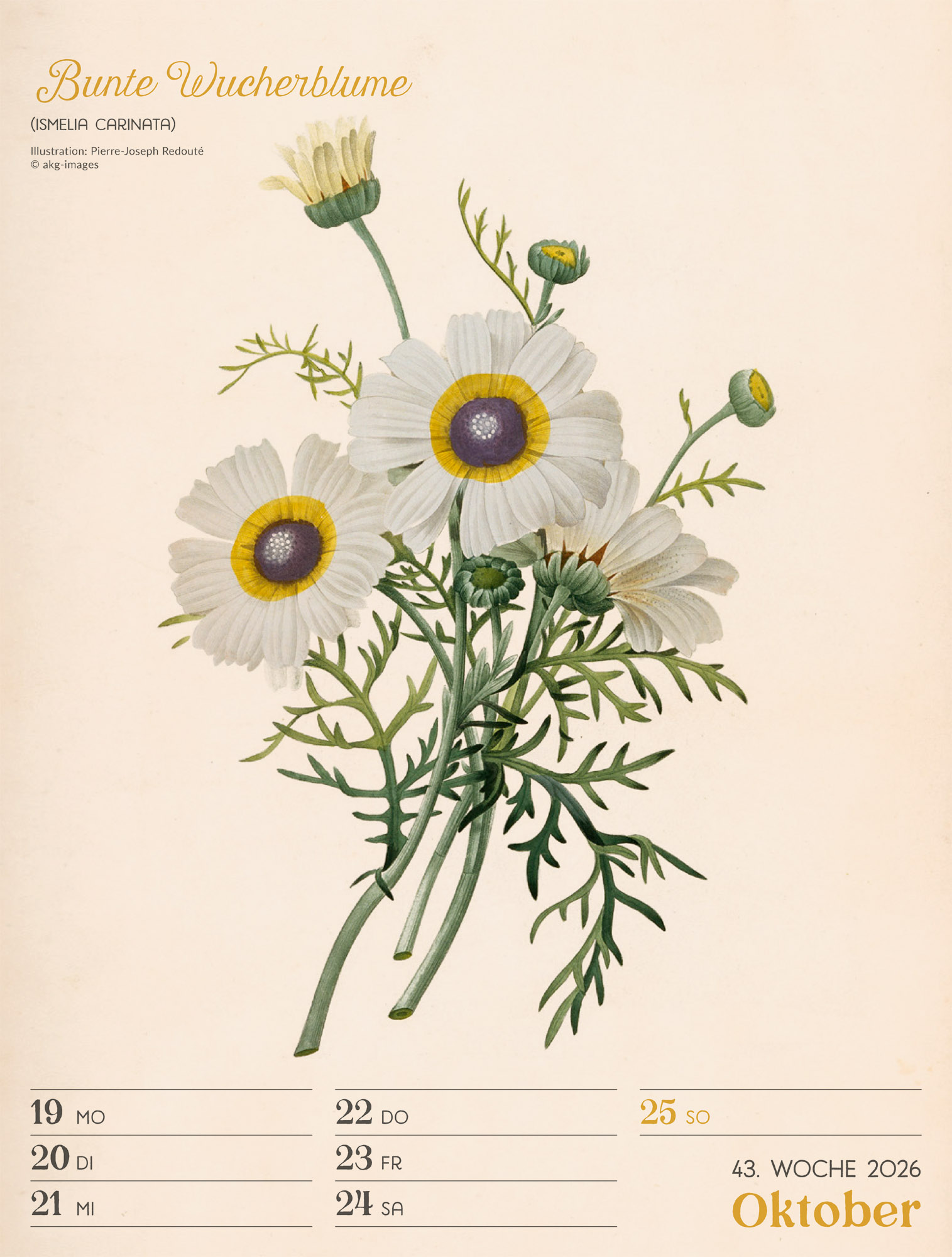 9783838436128_innenansicht_46 9783838436128_innenansicht_46.jpg