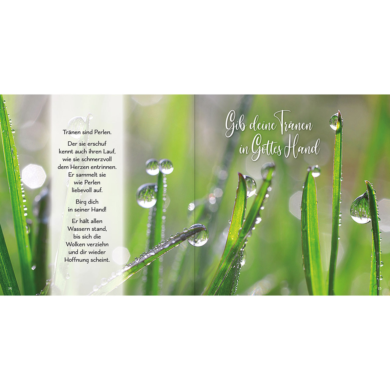 9783842935815_innenansicht_03 9783842935815_innenansicht_03.jpg