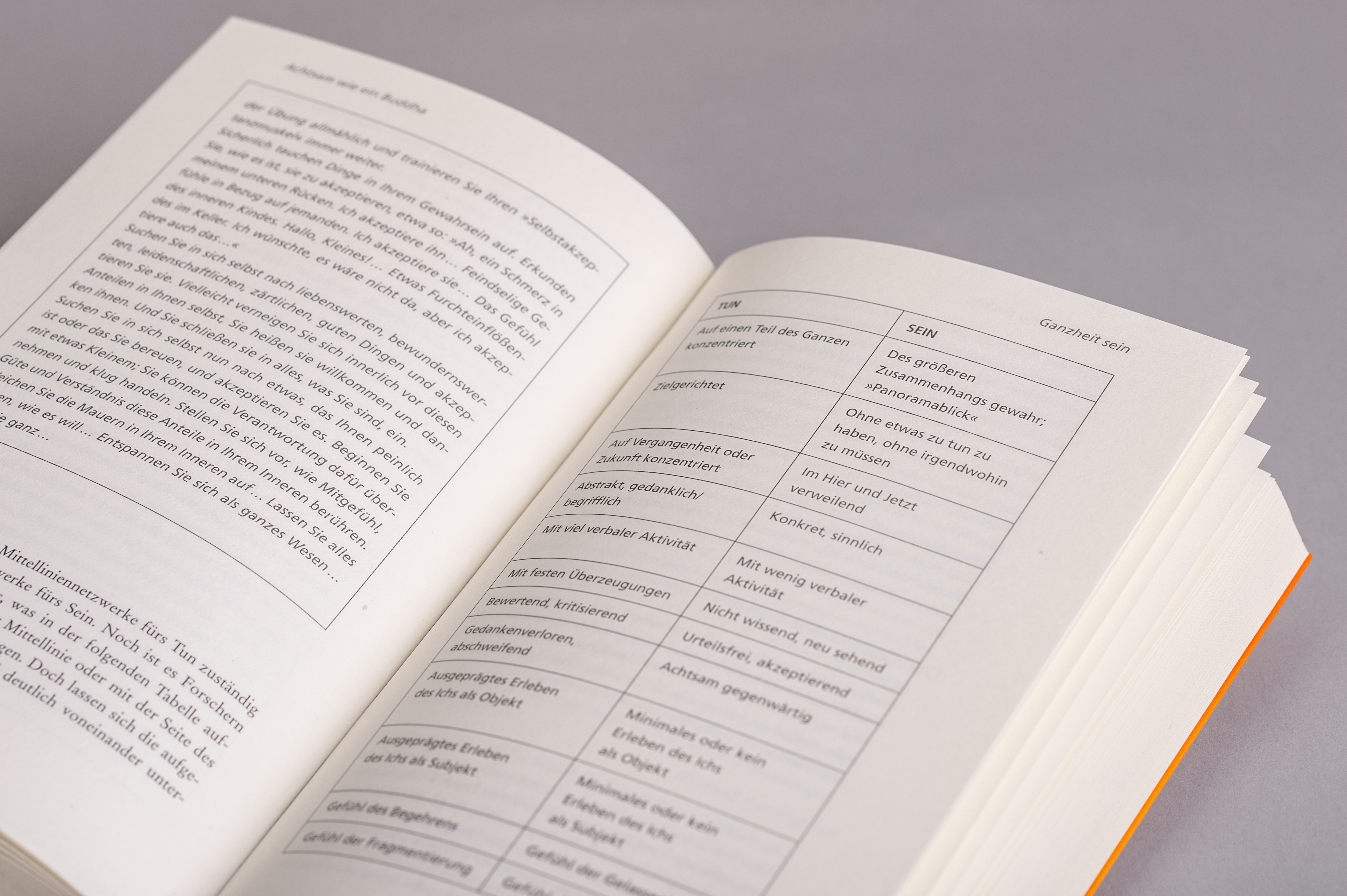 9783424153903_innenansicht_03.jpg 9783424153903_innenansicht_03.jpg