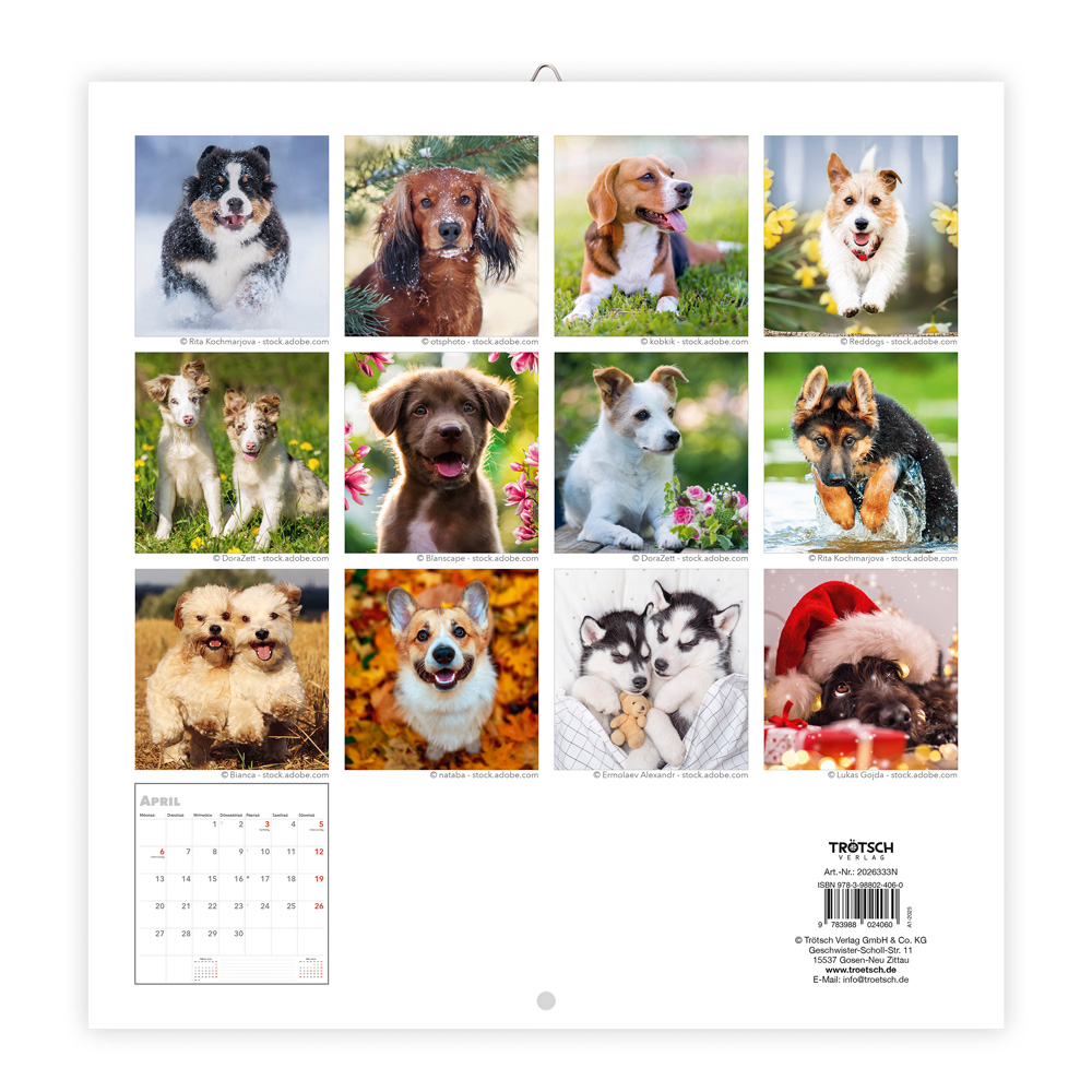 9783988024060_innenansicht_04 9783988024060_innenansicht_04.jpg