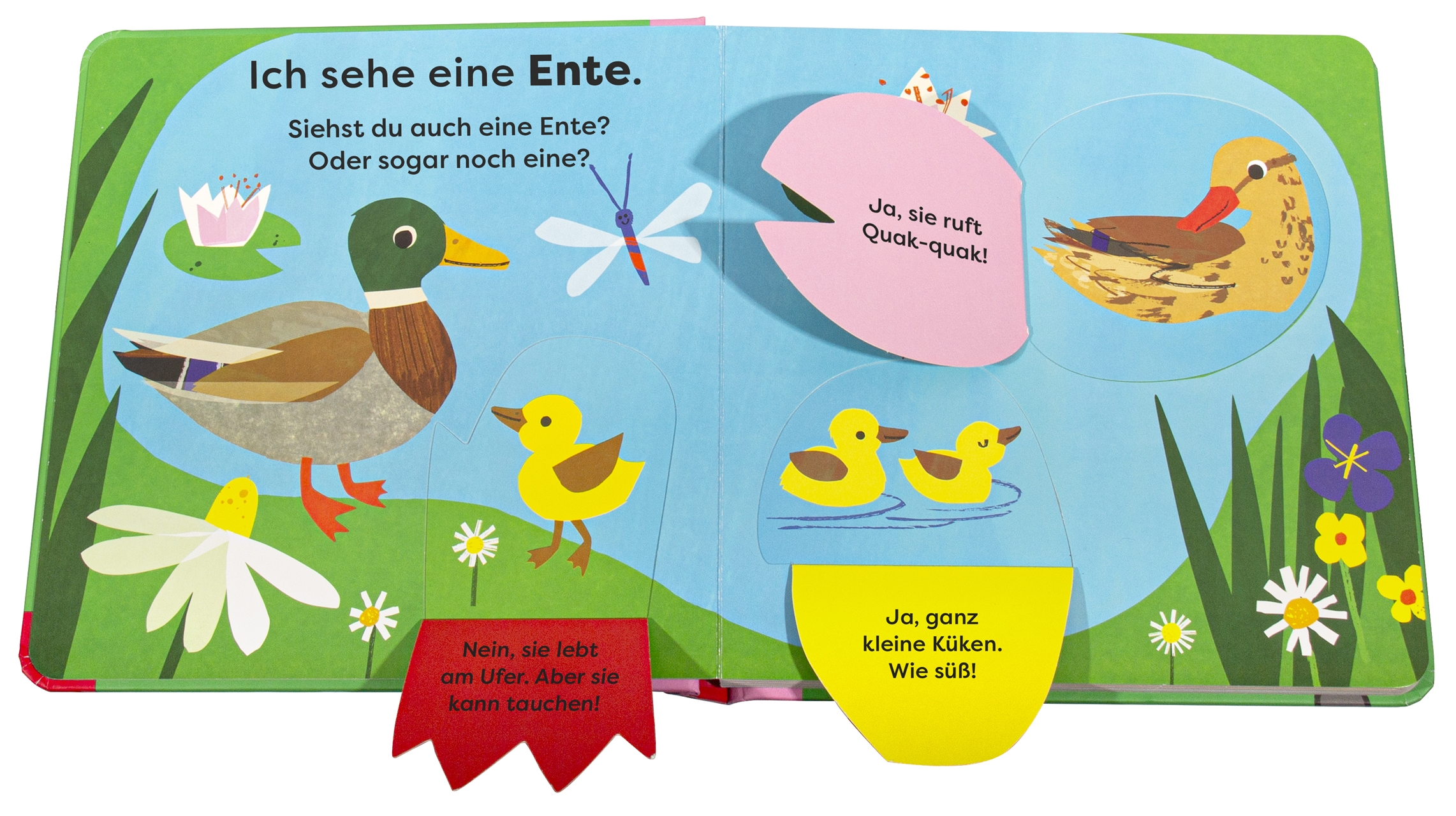 9783831050512_innenansicht_01.jpg