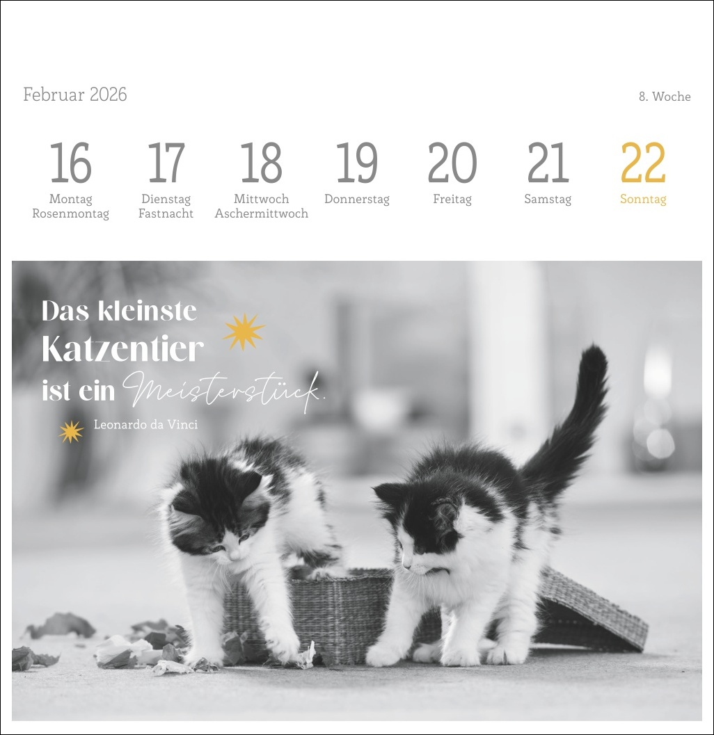 9783756411955_innenansicht_08.jpg