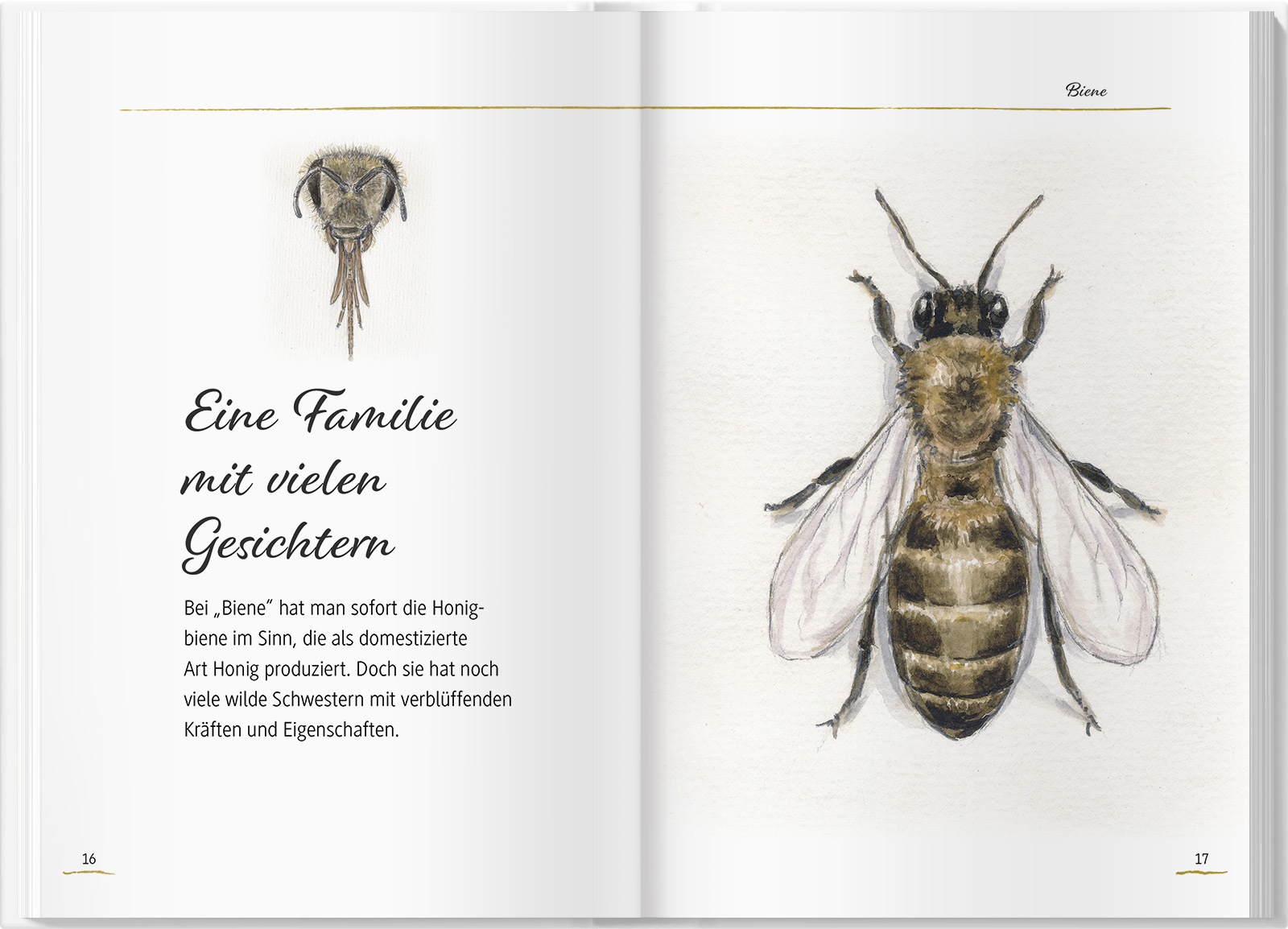 9783784357348_innenansicht_02 9783784357348_innenansicht_02.jpg